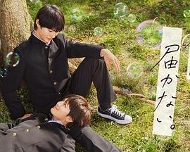 泛页面关键词2527